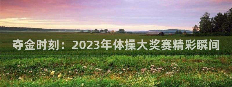JJB竞技宝官网下载招商电话：夺金时刻：2023年体