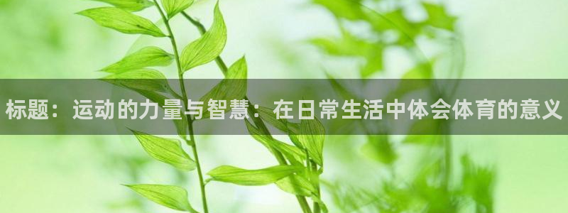 JJB竞技宝官方正版app官网：标题：运动的力量与智