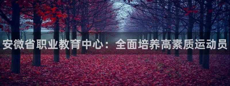JJB竞技宝官网下载平台注册要钱吗安全吗：安微省职业