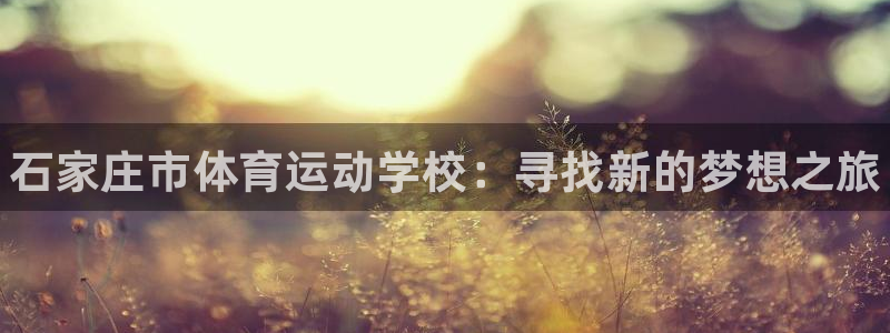 JJB竞技宝官方正版app集团官网首页：石家庄市体育