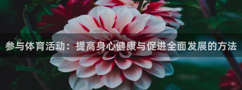 JJB竞技宝官方正版app新能源：参与体育活动：提高