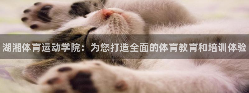 JJB竞技宝官方集团官网：湖湘体育运动学院：为您打造