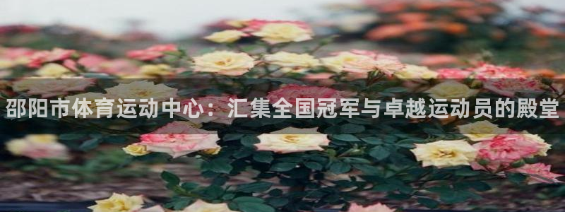 JJB竞技宝官方正版app集团官网首页：邵阳市体育运动中心：