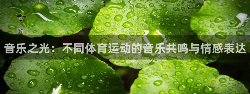 JJB竞技宝官方正版app娱乐网站