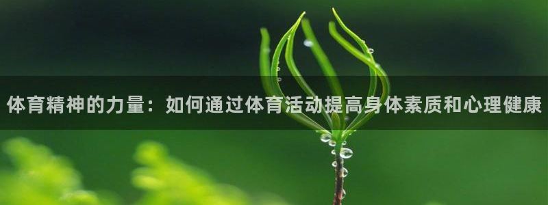 JJB竞技宝官网下载：体育精神的力量：如何通过体育活动提高身