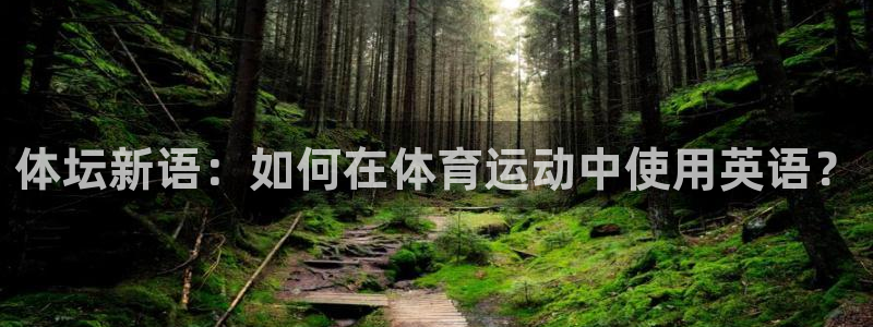 JJB竞技宝官网下载招商电话地址是多少