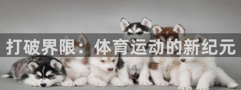 JJB竞技宝官网下载平台：打破界限：体育运动的新纪元