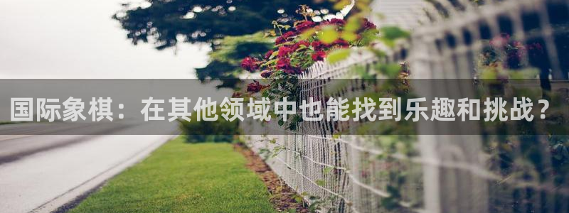 JJB竞技宝官网下载：国际象棋：在其他领域中也能找到
