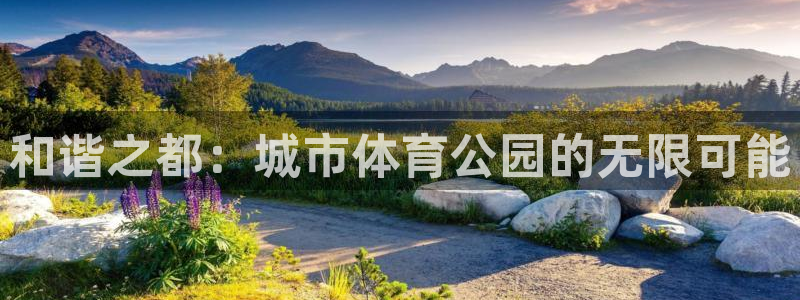 JJB竞技宝官网下载招商电话：和谐之都：城市体育公园的无限可