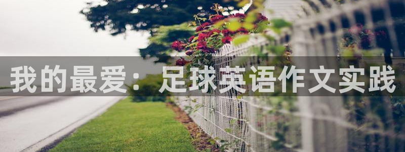 JJB竞技宝官方正版app娱乐是那个系列的台子：我的最爱：足