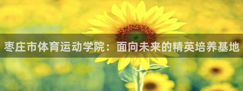 JJB竞技宝官方正版app科技：枣庄市体育运动学院：面向未来