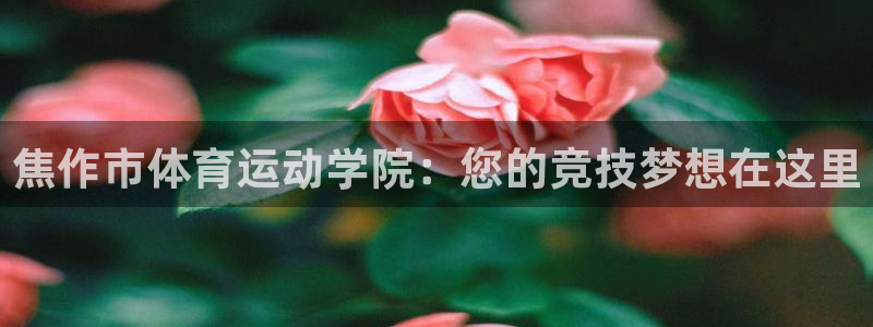 JJB竞技宝官网下载平台APP：焦作市体育运动学院：您的竞技