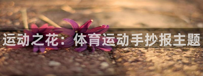 JJB竞技宝官方集团官网：运动之花：体育运动手抄报主题