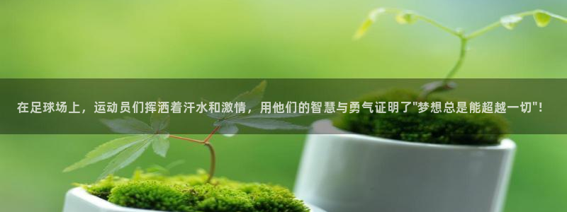JJB竞技宝官网下载平台假的吗是真的吗吗：在足球场上，运动员