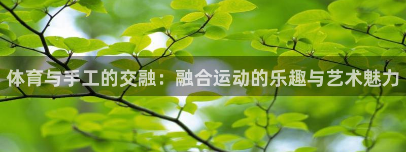JJB竞技宝官网下载招商电话是多少：体育与手工的交融：融合运