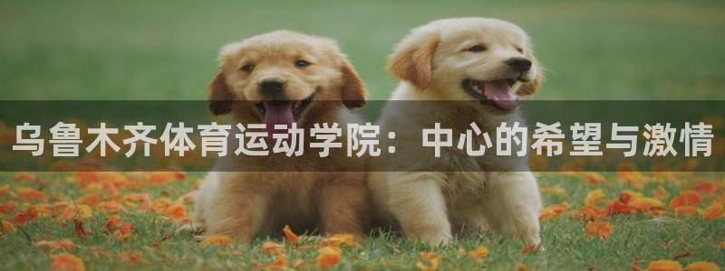 JJB竞技宝官方正版app官网：乌鲁木齐体育运动学院