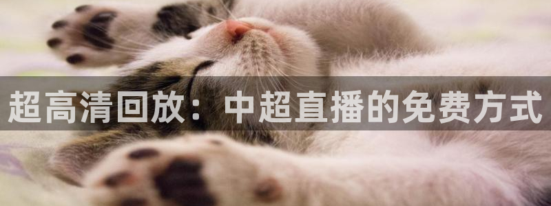 极速体育直播下载：超高清回放：中超直播的免费方式