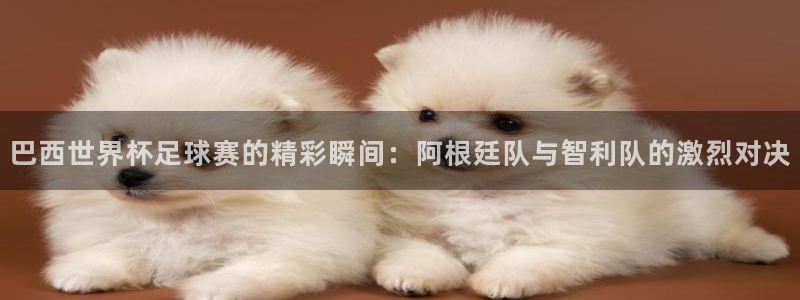 极速nba体育直播：巴西世界杯足球赛的精彩瞬间：阿根廷队与智利队的激烈对决
