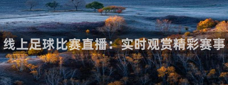 24小时体育在线直播极速体育：线上足球比赛直播：实时观赏精彩赛事