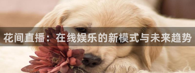 0点8直播极速体育直播：花间直播：在线娱乐的新模式与未来趋势
