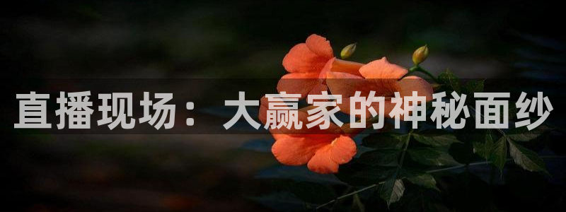 nba直播吧极速雨燕：直播现场：大赢家的神秘面纱