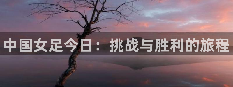 极速直播nba体育直播吧：中国女足今日：挑战与胜利的旅程